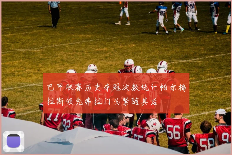 巴甲联赛历史夺冠次数统计帕尔梅拉斯领先弗拉门戈紧随其后